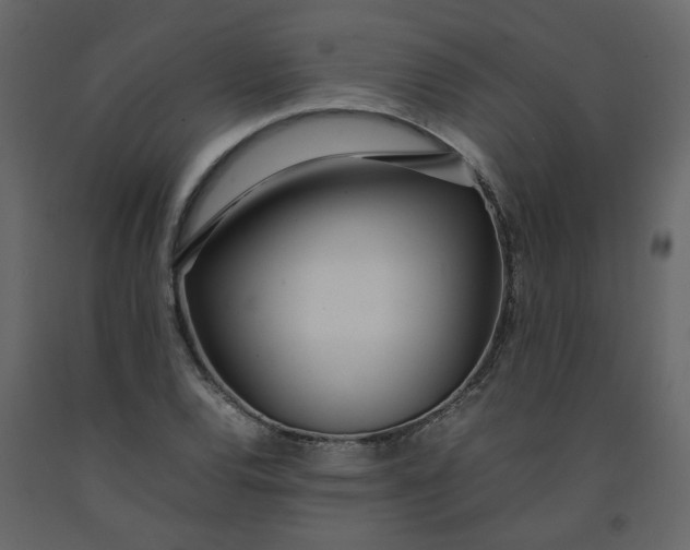 X0000092241120200710051233