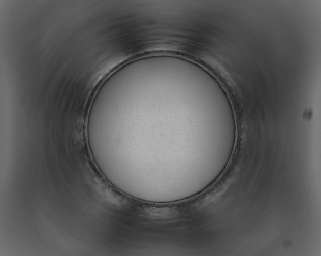 X0000092241121200710051233