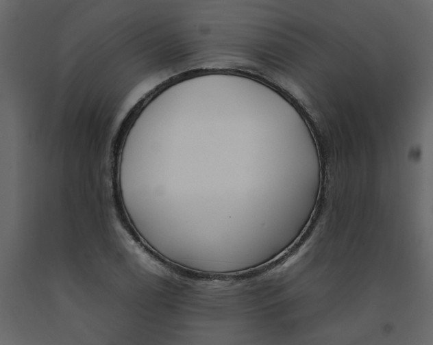 X0000092241122200710051233