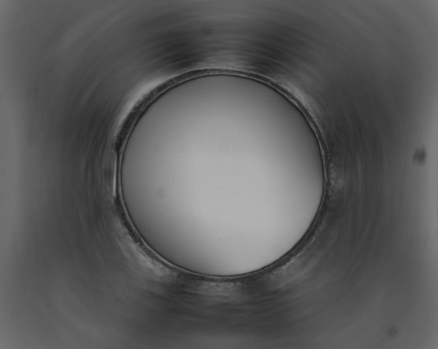 X0000092241123200710051233