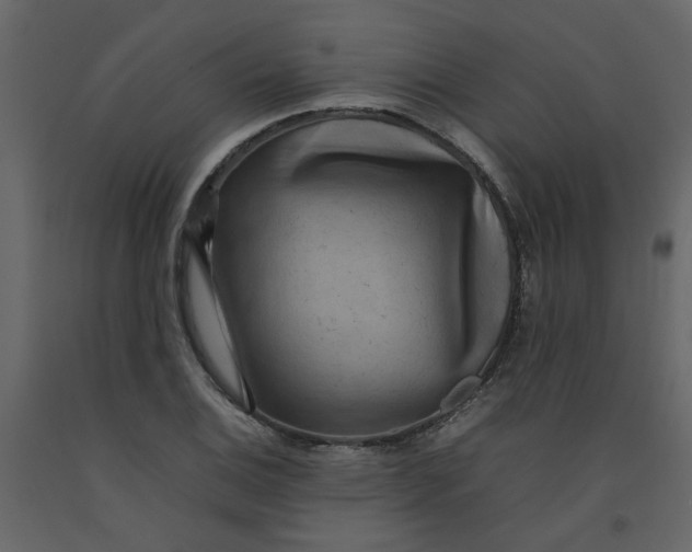 X0000092241124200710051233