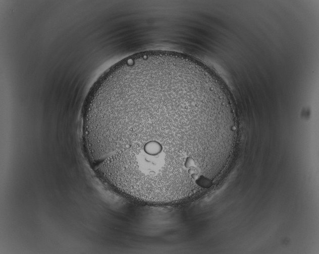 X0000092241125200710051233