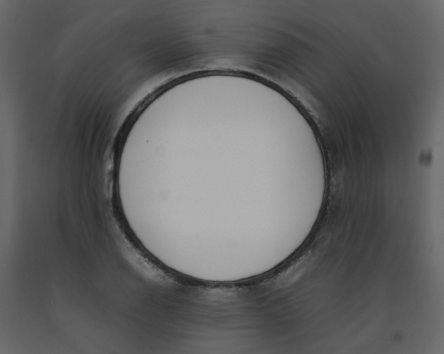 X0000092241126200710051233