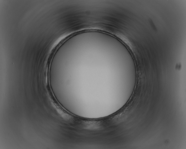 X0000092241127200710051233