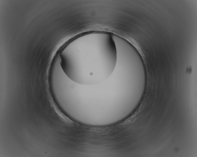 X0000092241128200710051233