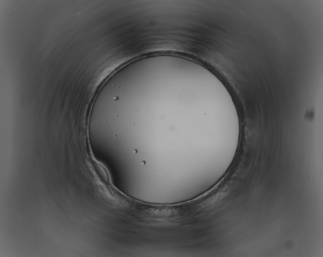 X0000092241129200710051233