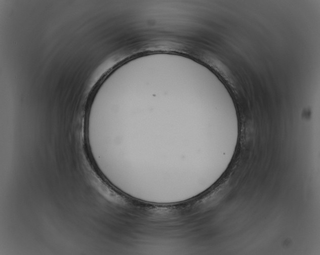 X0000092241130200710051233