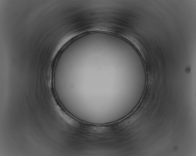 X0000092241131200710051233