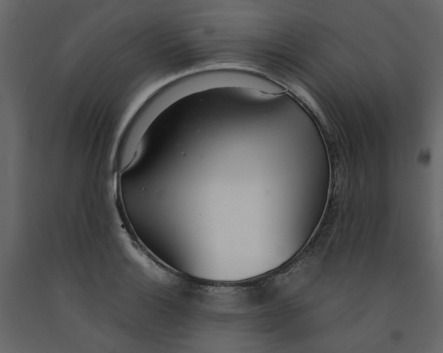 X0000092241132200710051233