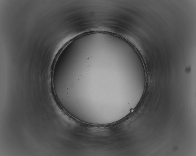 X0000092241133200710051233