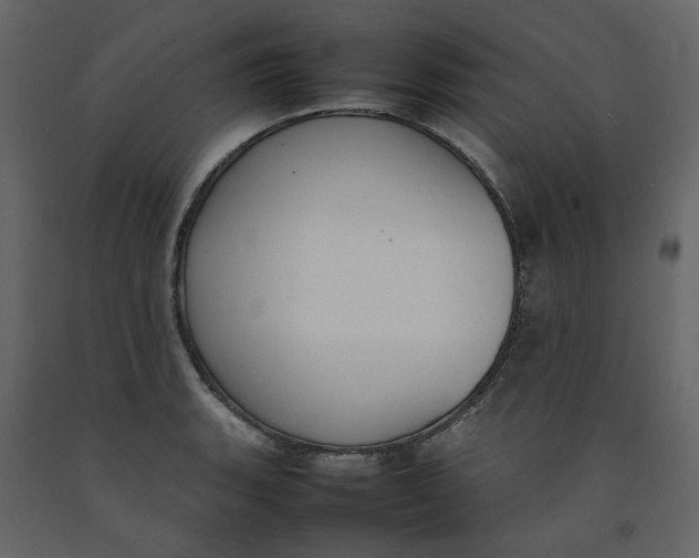 X0000092241135200710051233