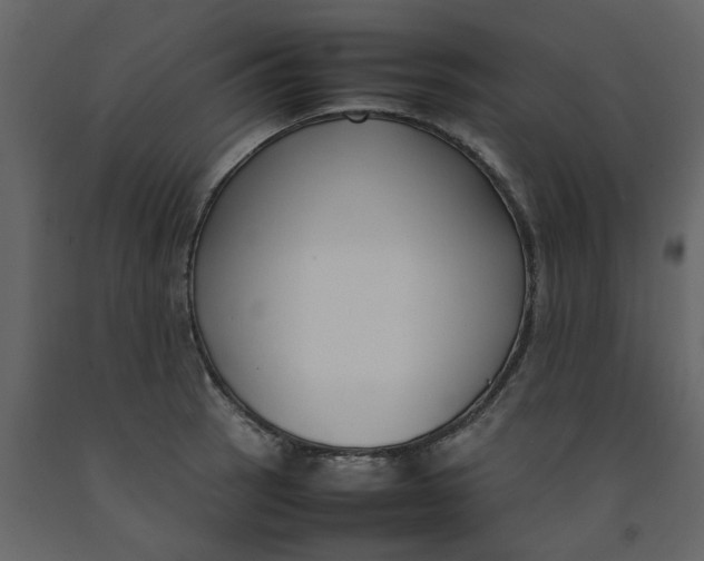 X0000092241137200710051233