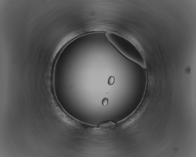 X0000092241138200710051233