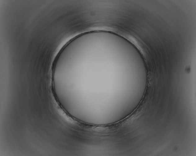 X0000092241140200710051233