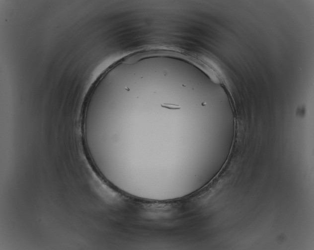 X0000092241141200710051233