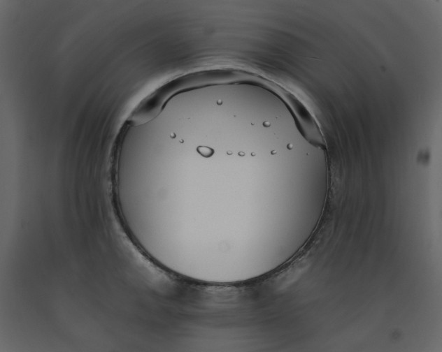 X0000092241142200710051233