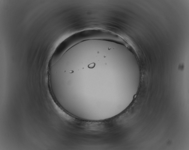 X0000092241143200710051233