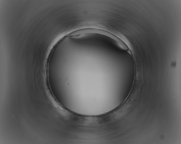 X0000092241144200710051233