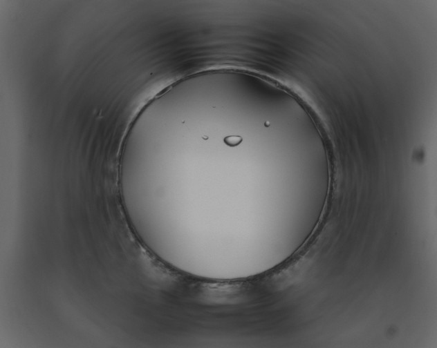 X0000092241145200710051233