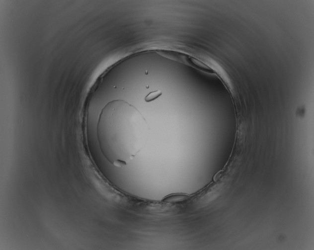 X0000092241146200710051233