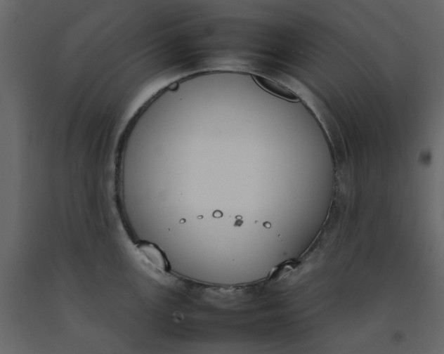 X0000092241147200710051233