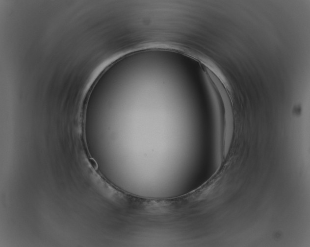 X0000092241148200710051233