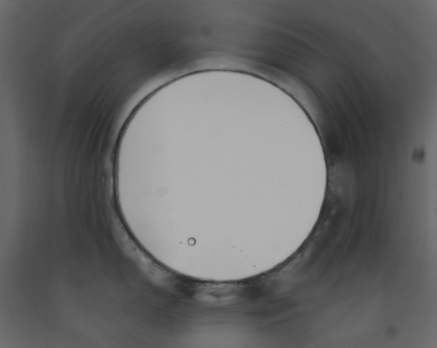 X0000092241150200710051233