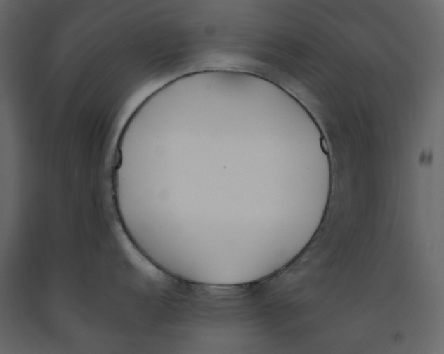 X0000092241152200710051233