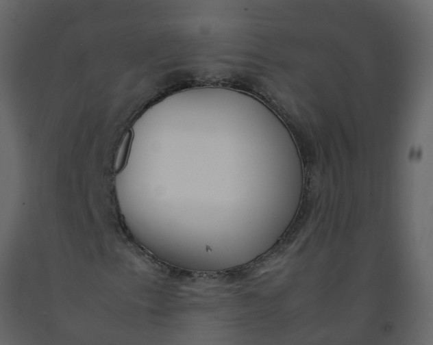 X0000092241153200710051233