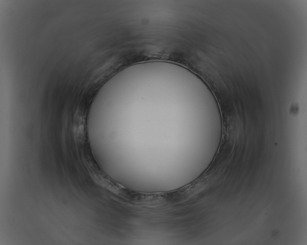 X0000092241154200710051233