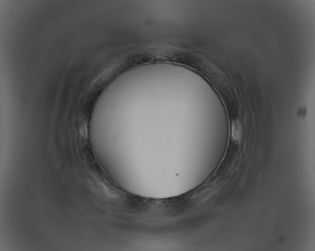 X0000092241155200710051233