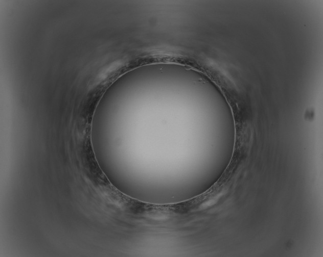 X0000092241157200710051233