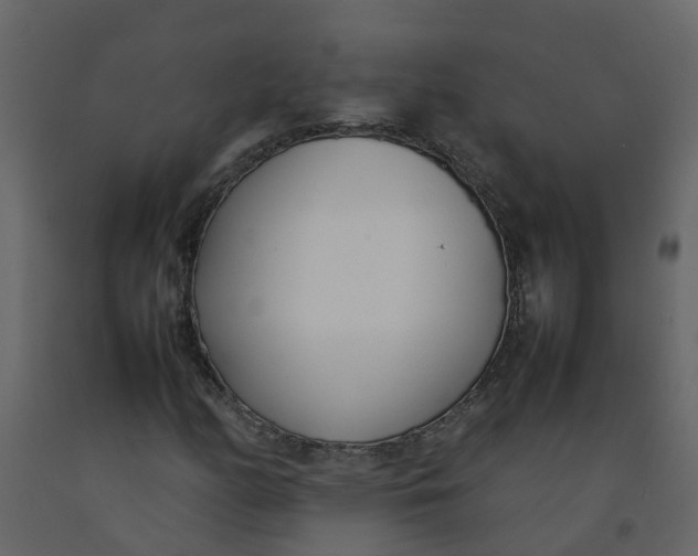 X0000092241158200710051233