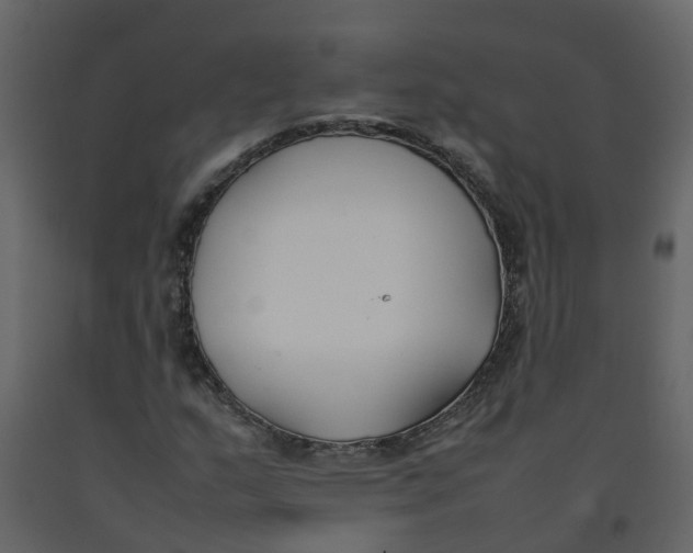 X0000092241159200710051233