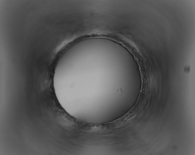 X0000092241160200710051233