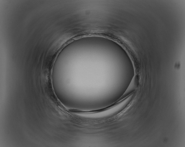 X0000092241161200710051233