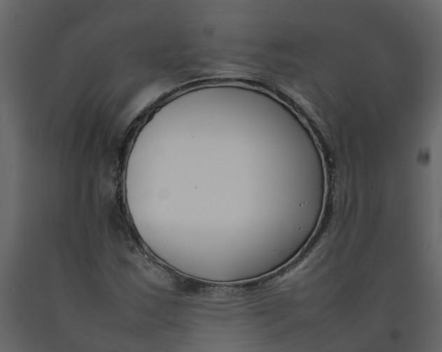 X0000092241163200710051233