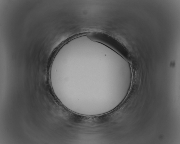 X0000092241165200710051233