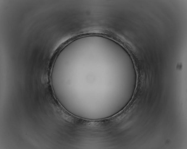 X0000092241166200710051233