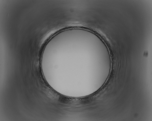 X0000092241167200710051233