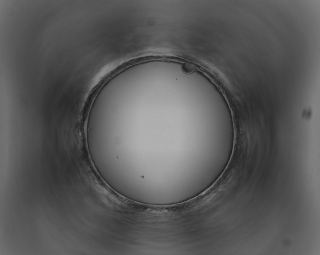 X0000092241168200710051233