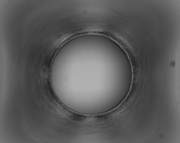 X0000092241169200710051233