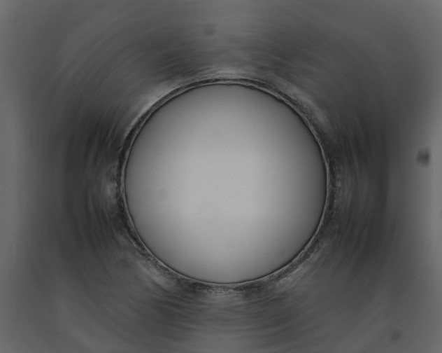 X0000092241170200710051233