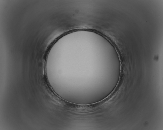 X0000092241171200710051233