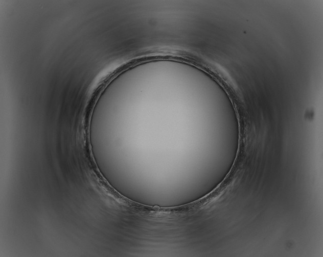 X0000092241172200710051233