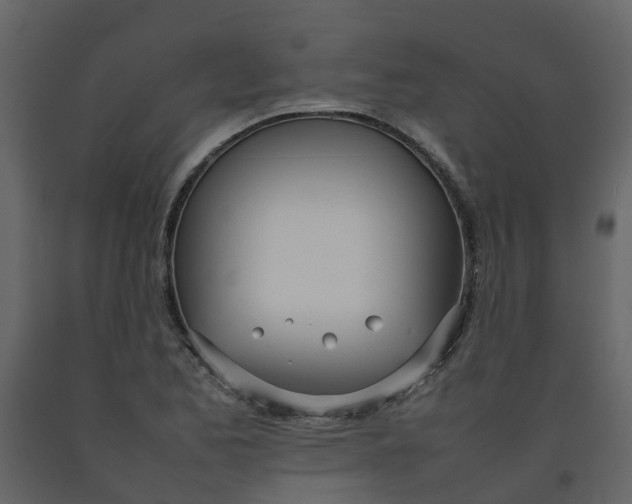 X0000092241173200710051233