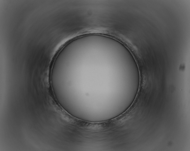 X0000092241174200710051233