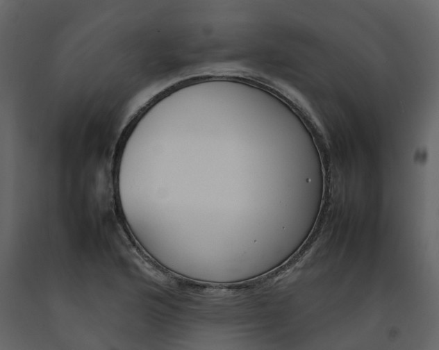 X0000092241176200710051233