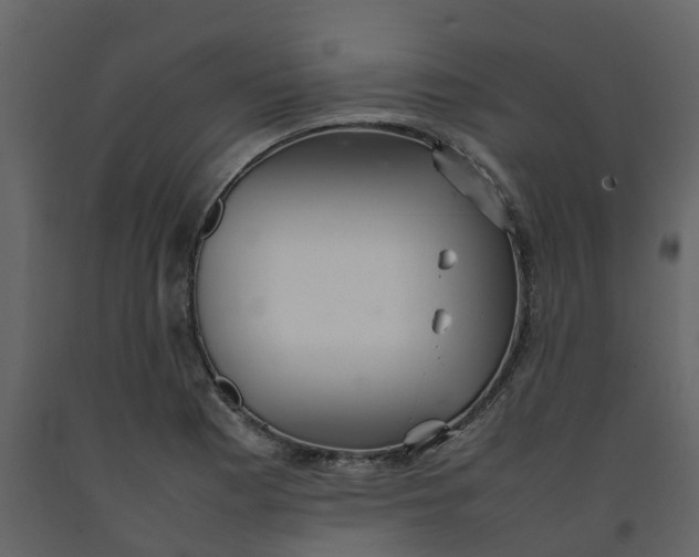 X0000092241177200710051233