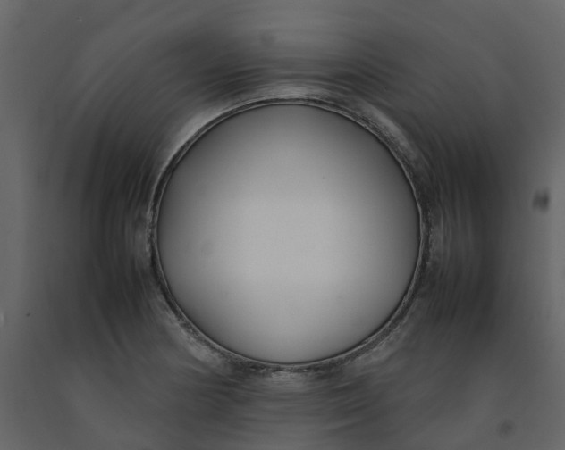 X0000092241178200710051233